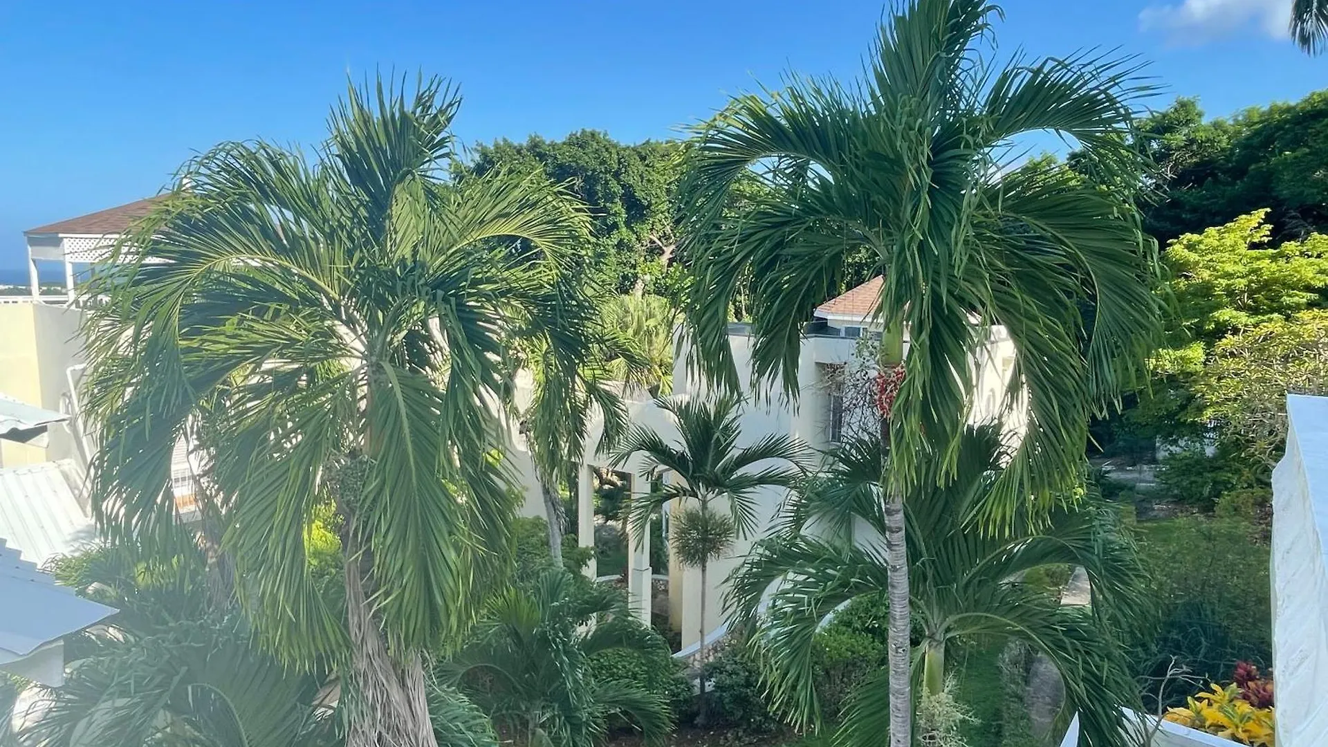 Oceanbreeze Jamaica Penthouse, 7-Minute Walk To Beach Ocho Rios Jamaica
