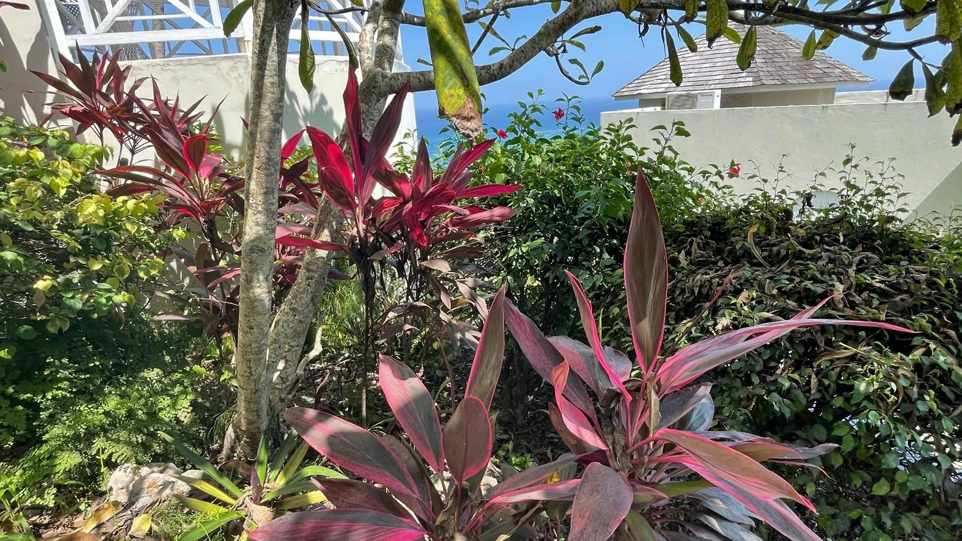 Oceanbreeze Jamaica Penthouse, 7-Minute Walk To Beach Ocho Rios Apartment